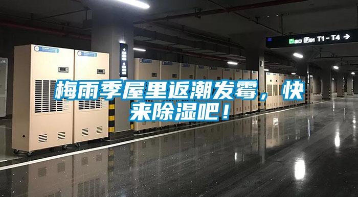 梅雨季屋里返潮發(fā)霉，快來除濕吧！