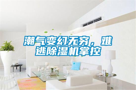 潮氣變幻無窮，難逃除濕機(jī)掌控