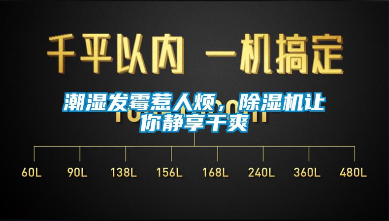 潮濕發(fā)霉惹人煩，除濕機(jī)讓你靜享干爽