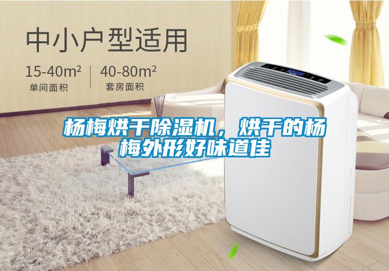 楊梅烘干除濕機，烘干的楊梅外形好味道佳