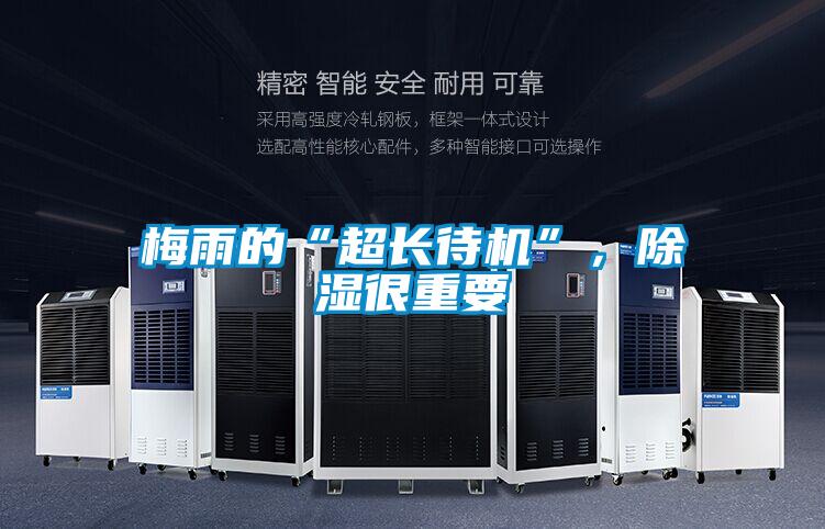 梅雨的“超長待機”，除濕很重要