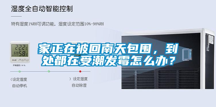 家正在被回南天包圍，到處都在受潮發(fā)霉怎么辦？