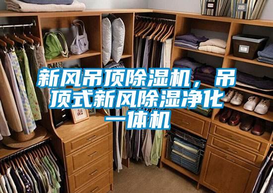 新風(fēng)吊頂除濕機(jī)，吊頂式新風(fēng)除濕凈化一體機(jī)