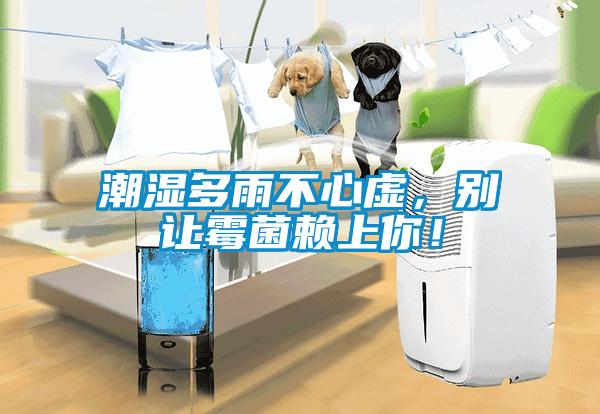 潮濕多雨不心虛，別讓霉菌賴上你！