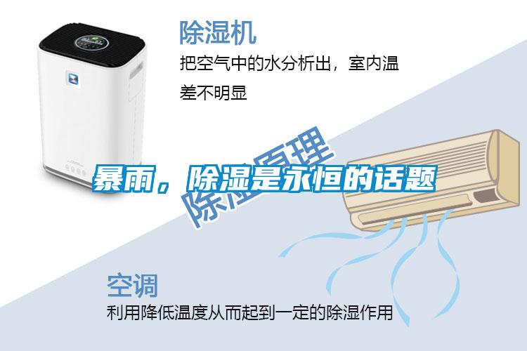 暴雨，除濕是永恒的話題