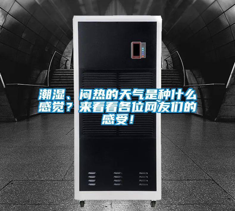 潮濕、悶熱的天氣是種什么感覺？來(lái)看看各位網(wǎng)友們的感受！