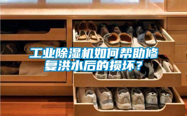 工業(yè)除濕機如何幫助修復洪水后的損壞？
