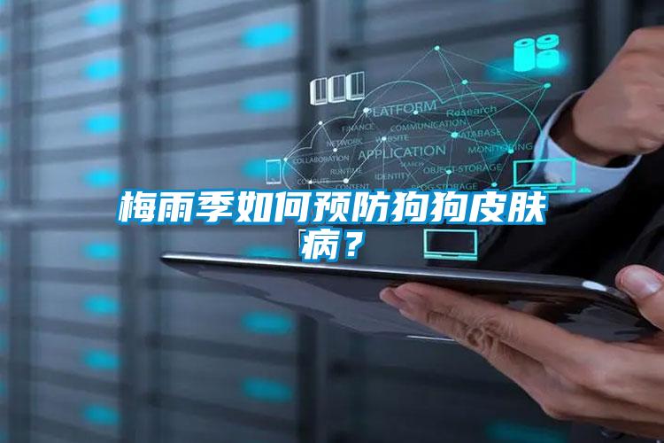 梅雨季如何預(yù)防狗狗皮膚??？