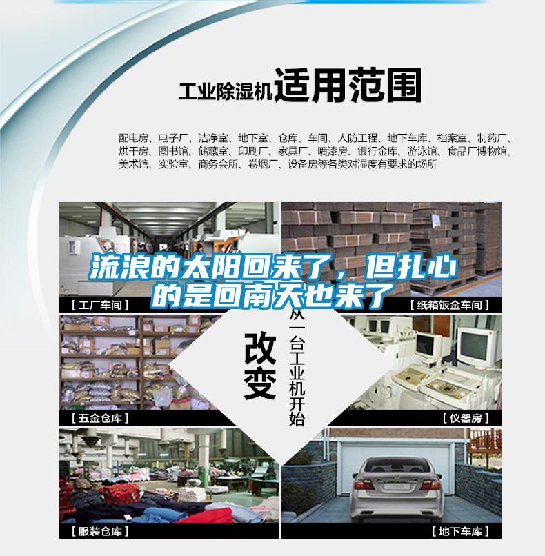 流浪的太陽回來了，但扎心的是回南天也來了