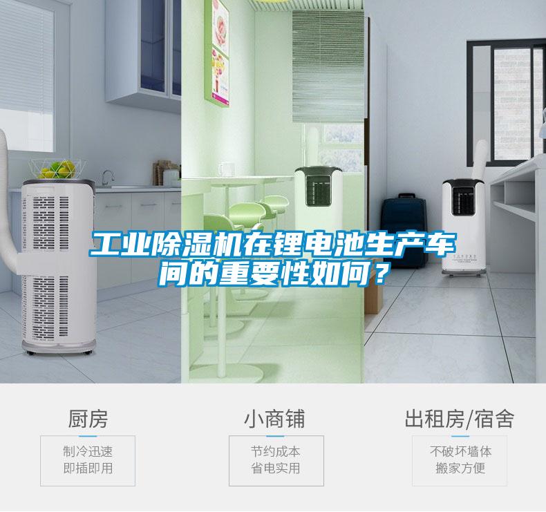工業(yè)除濕機在鋰電池生產(chǎn)車間的重要性如何？