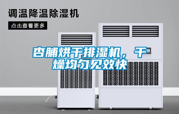 杏脯烘干排濕機，干燥均勻見效快