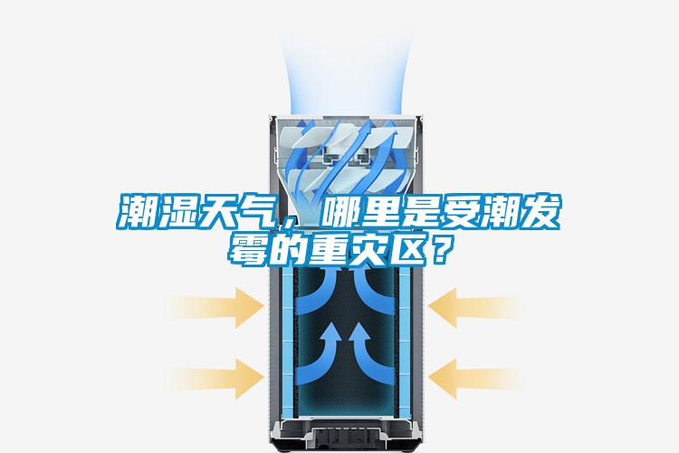 潮濕天氣，哪里是受潮發(fā)霉的重災(zāi)區(qū)？