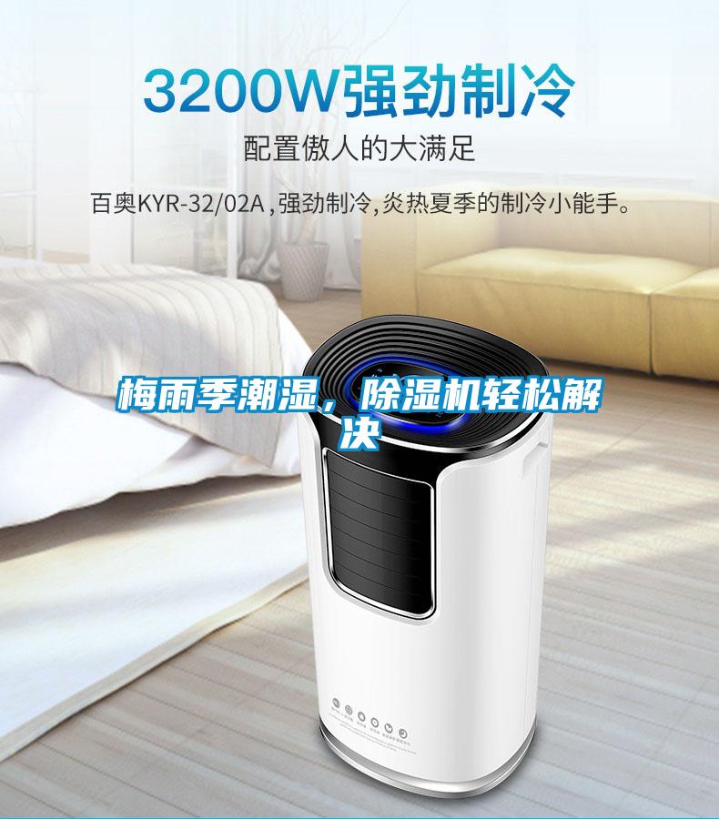 梅雨季潮濕，除濕機輕松解決