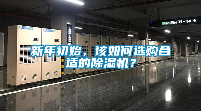 新年初始，該如何選購合適的除濕機？