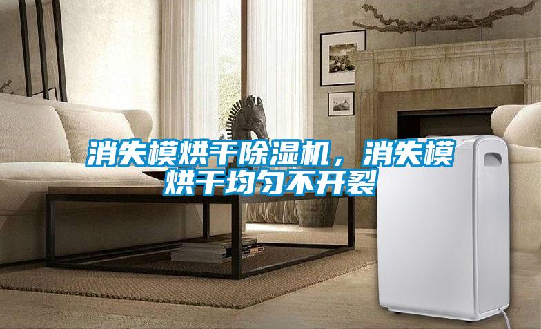 消失模烘干除濕機(jī)，消失模烘干均勻不開(kāi)裂
