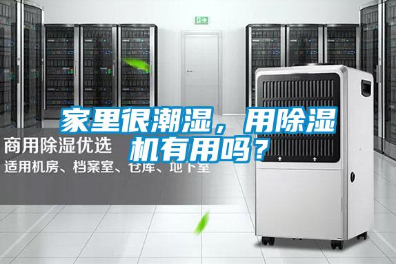 家里很潮濕，用除濕機(jī)有用嗎？