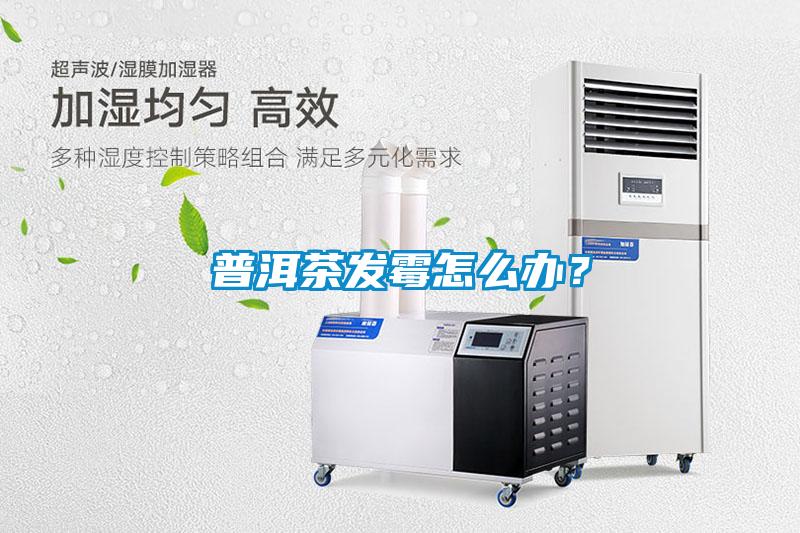 普洱茶發(fā)霉怎么辦?