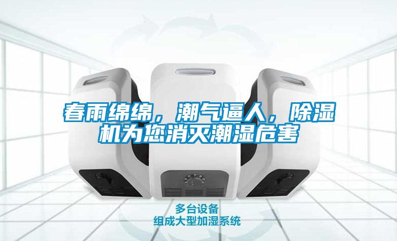 春雨綿綿，潮氣逼人，除濕機(jī)為您消滅潮濕危害