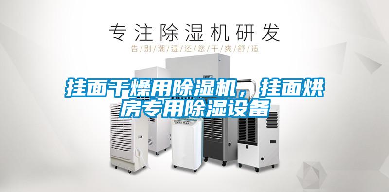 掛面干燥用除濕機(jī)，掛面烘房專用除濕設(shè)備