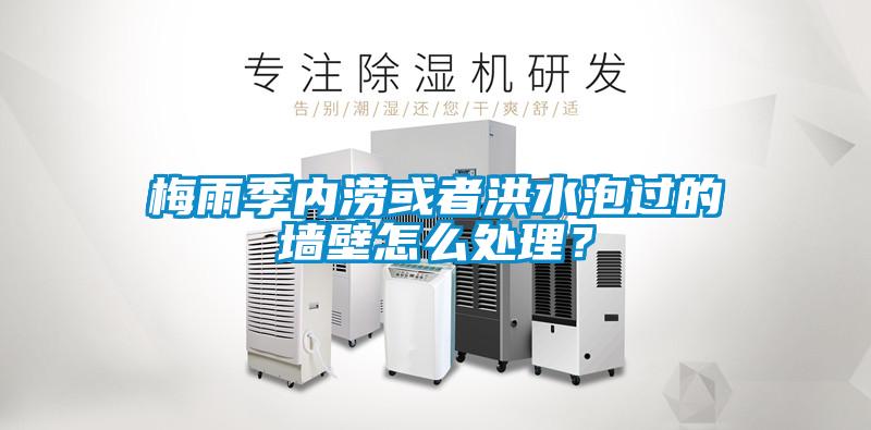 梅雨季內(nèi)澇或者洪水泡過(guò)的墻壁怎么處理？