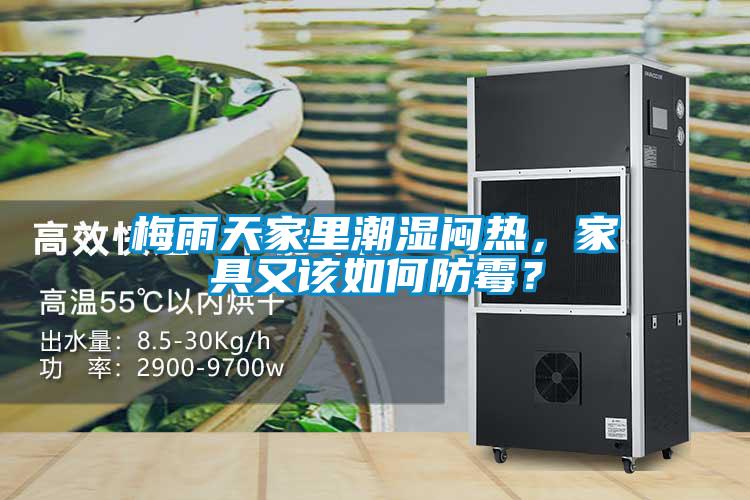 梅雨天家里潮濕悶熱，家具又該如何防霉？