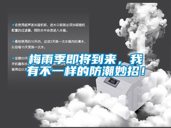 梅雨季即將到來(lái)，我有不一樣的防潮妙招！