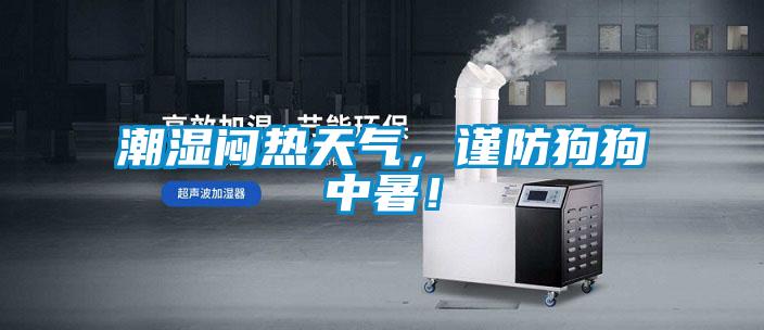 潮濕悶熱天氣，謹防狗狗中暑！