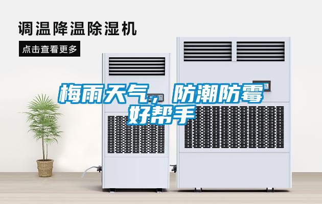 梅雨天氣，防潮防霉好幫手