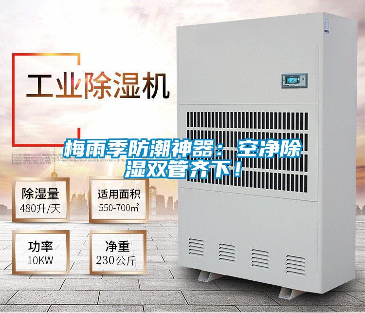 梅雨季防潮神器：空凈除濕雙管齊下！