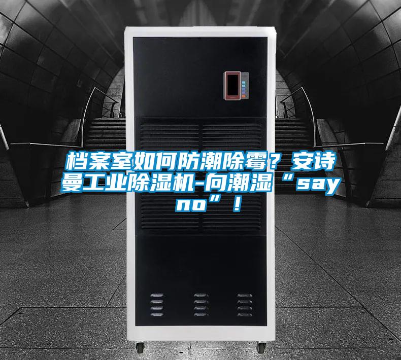 檔案室如何防潮除霉？安詩(shī)曼工業(yè)除濕機(jī)-向潮濕“say no”！