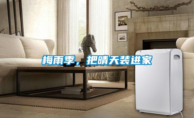 梅雨季，把晴天裝進家