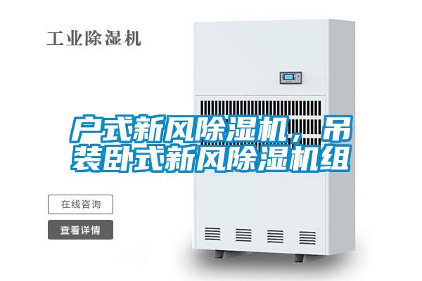 戶式新風除濕機，吊裝臥式新風除濕機組