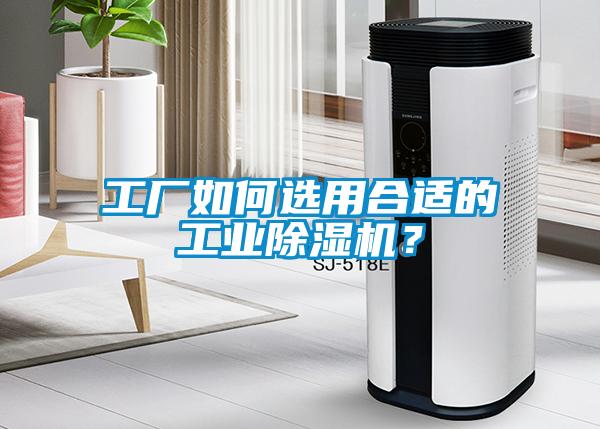 工廠如何選用合適的工業(yè)除濕機(jī)？