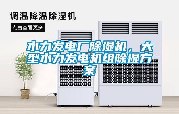 水力發(fā)電廠除濕機(jī)，大型水力發(fā)電機(jī)組除濕方案