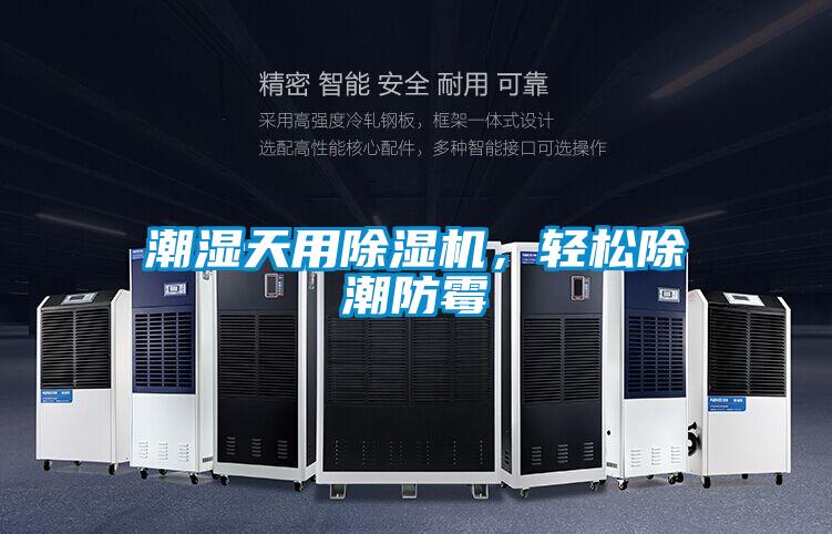 潮濕天用除濕機，輕松除潮防霉