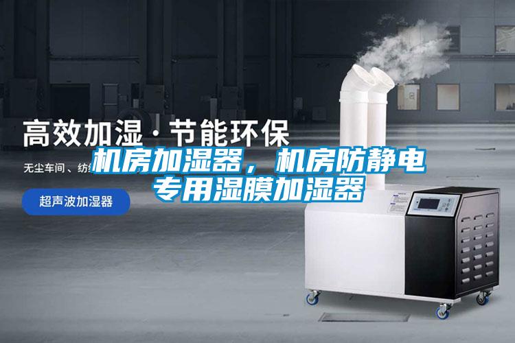 機(jī)房加濕器，機(jī)房防靜電專用濕膜加濕器