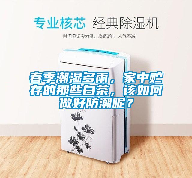 春季潮濕多雨，家中貯存的那些白茶，該如何做好防潮呢？
