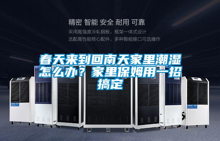春天來(lái)到回南天家里潮濕怎么辦？家里保姆用一招搞定