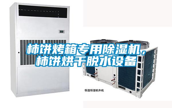 柿餅烤箱專(zhuān)用除濕機(jī),柿餅烘干脫水設(shè)備