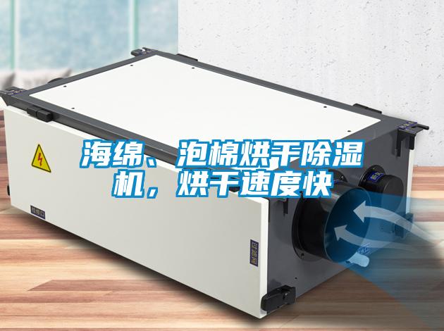 海綿、泡棉烘干除濕機(jī)，烘干速度快