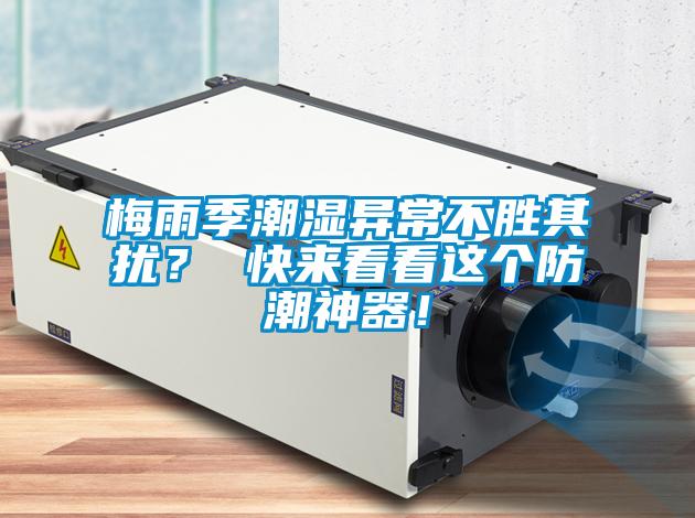 梅雨季潮濕異常不勝其擾？ 快來(lái)看看這個(gè)防潮神器！