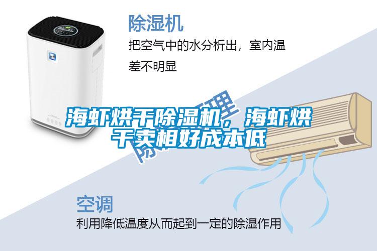 海蝦烘干除濕機(jī)，海蝦烘干賣相好成本低