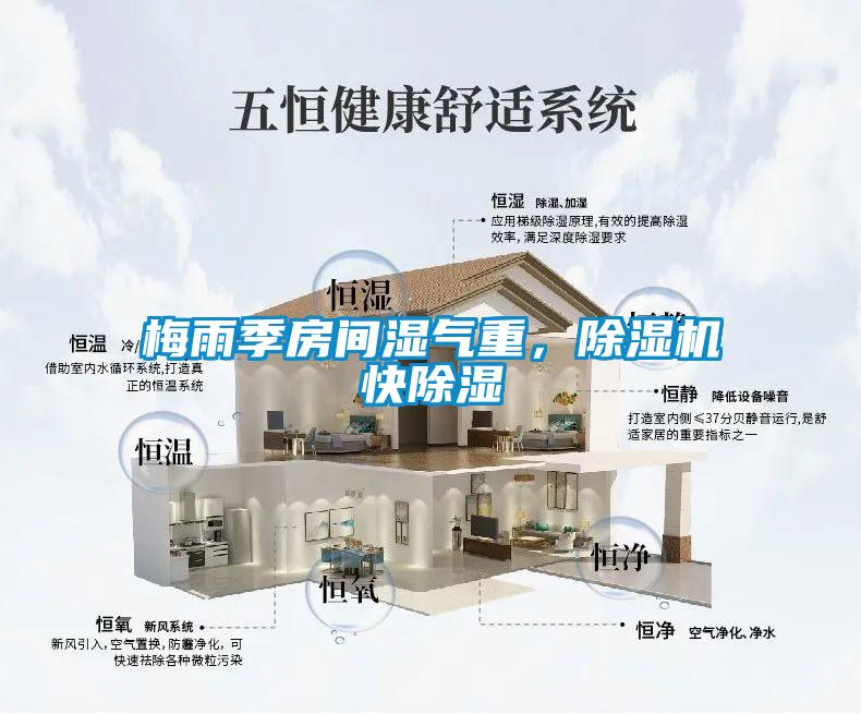 梅雨季房間濕氣重，除濕機快除濕