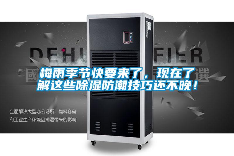 梅雨季節(jié)快要來了，現(xiàn)在了解這些除濕防潮技巧還不晚！