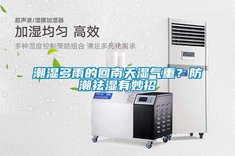 潮濕多雨的回南天濕氣重？防潮祛濕有妙招