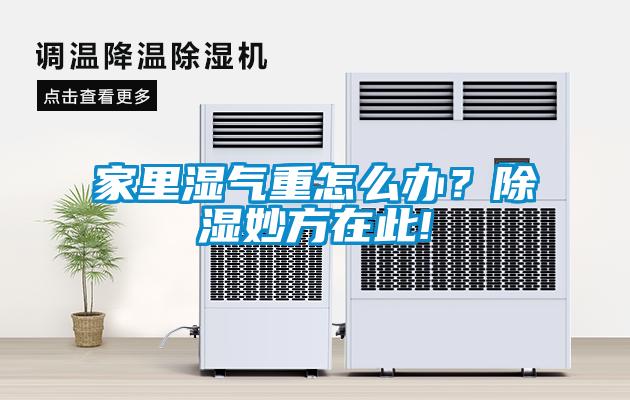 家里濕氣重怎么辦？除濕妙方在此!