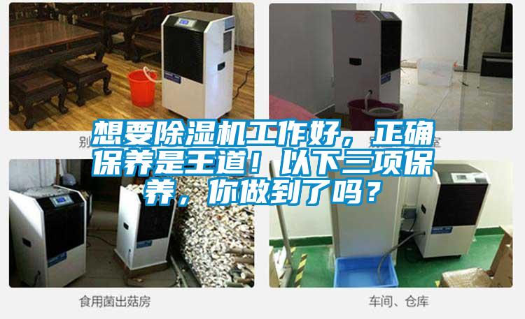 想要除濕機(jī)工作好，正確保養(yǎng)是王道！以下三項(xiàng)保養(yǎng)，你做到了嗎？