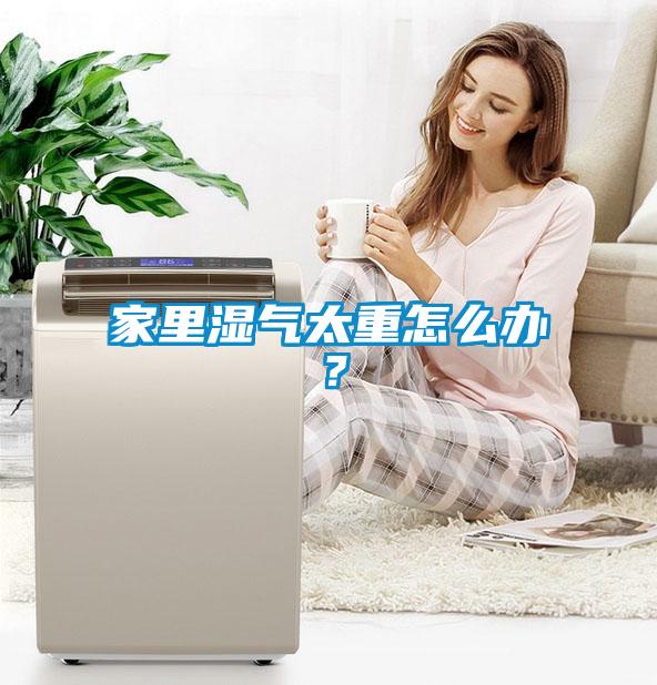 家里濕氣太重怎么辦？