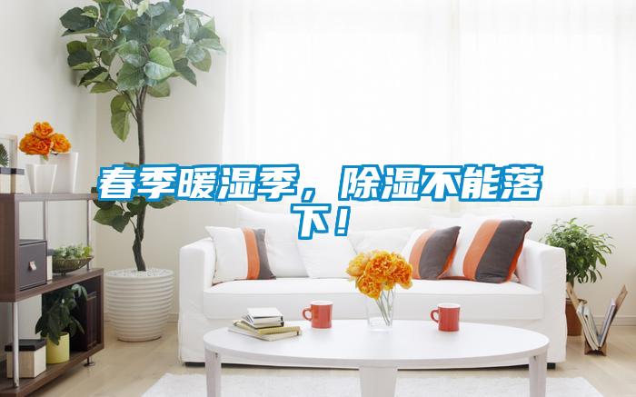 春季暖濕季，除濕不能落下！