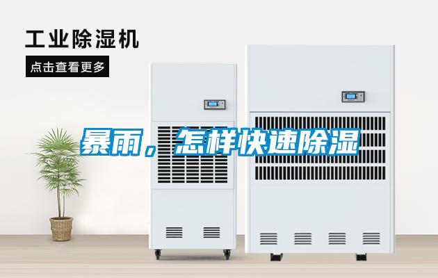 暴雨，怎樣快速除濕